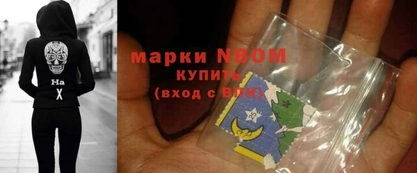 хмурый Россошь