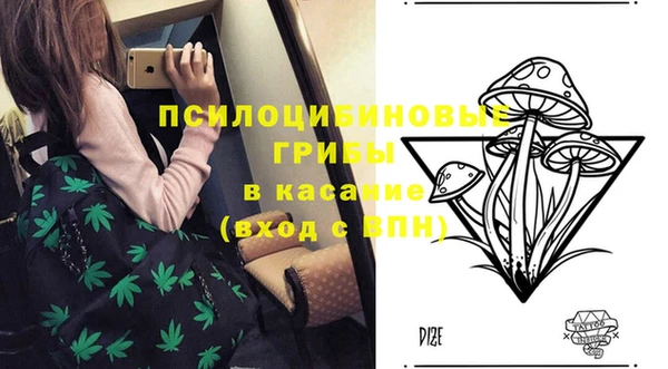 экстази Арсеньев